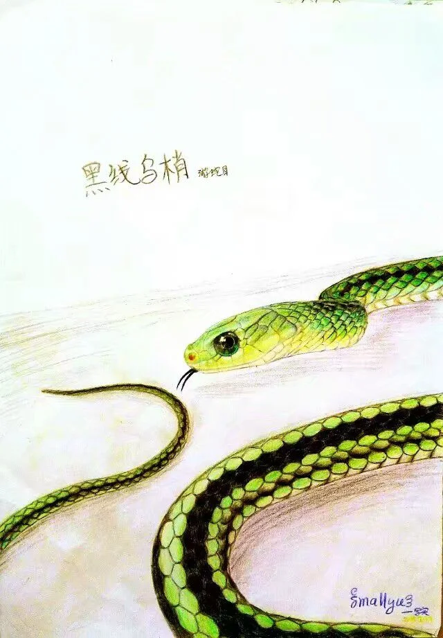 初中真黑历史！嘻嘻嘻嗝我也不知道为什么传上来留个念。 by 小驭