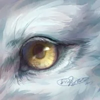 眼睛11