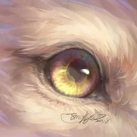 眼睛12