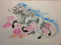 和枭子的交换