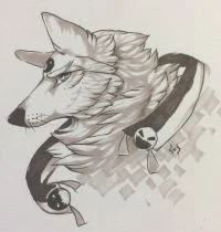 头像委