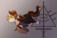 pony