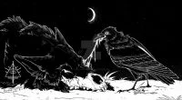 The Moon Rises