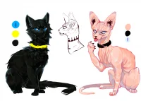 猫猫
