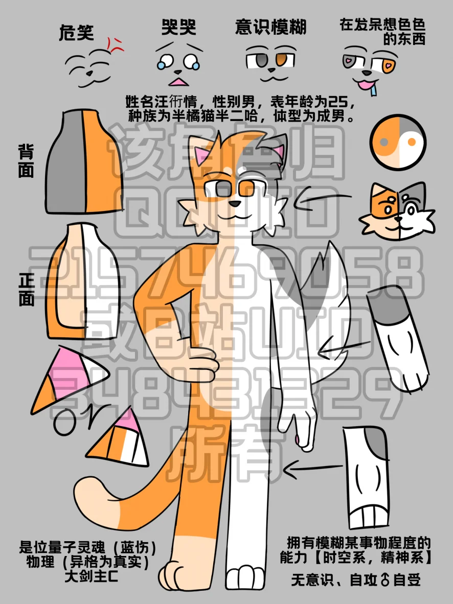 汪衎情设定-最终版-全裸（已申请版权） by 汪衎情, furry, 混血, 版权, 狗, 猫, 设定
