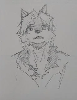 帕特