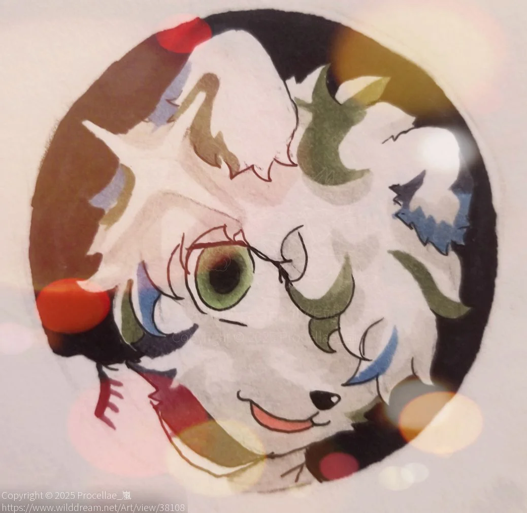 Peeping by Procellae_嵐