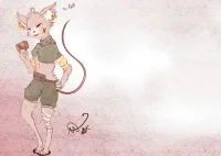 菲杉