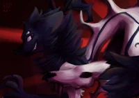 BF生贺 by WOLFWARRIORS