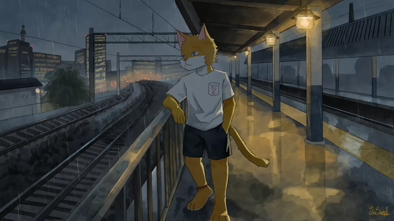 雨夜 by 久沙, 猫