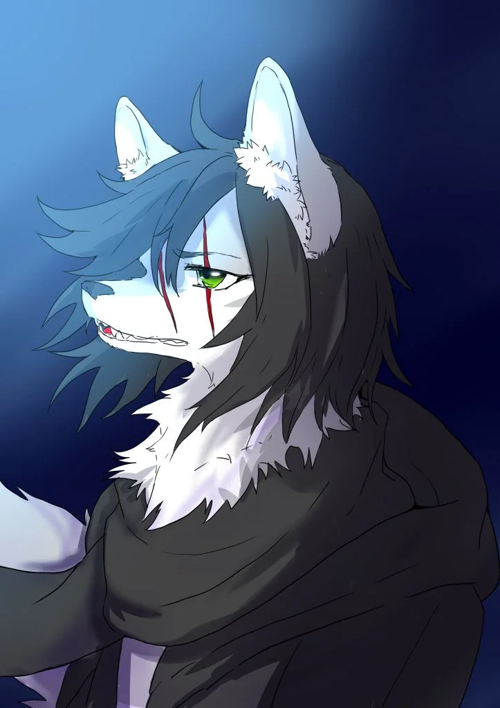 自设 by 小狼KillerWolf