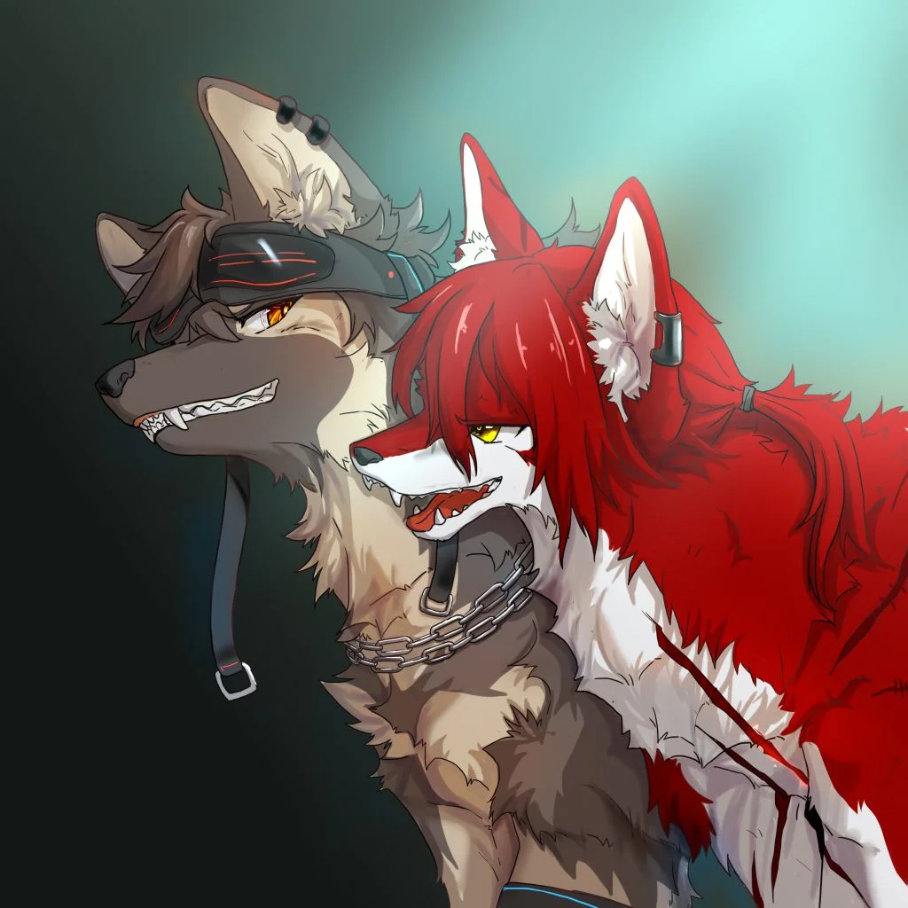 练习 by 小狼KillerWolf