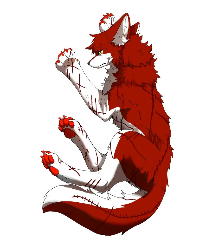 练习 by 小狼KillerWolf