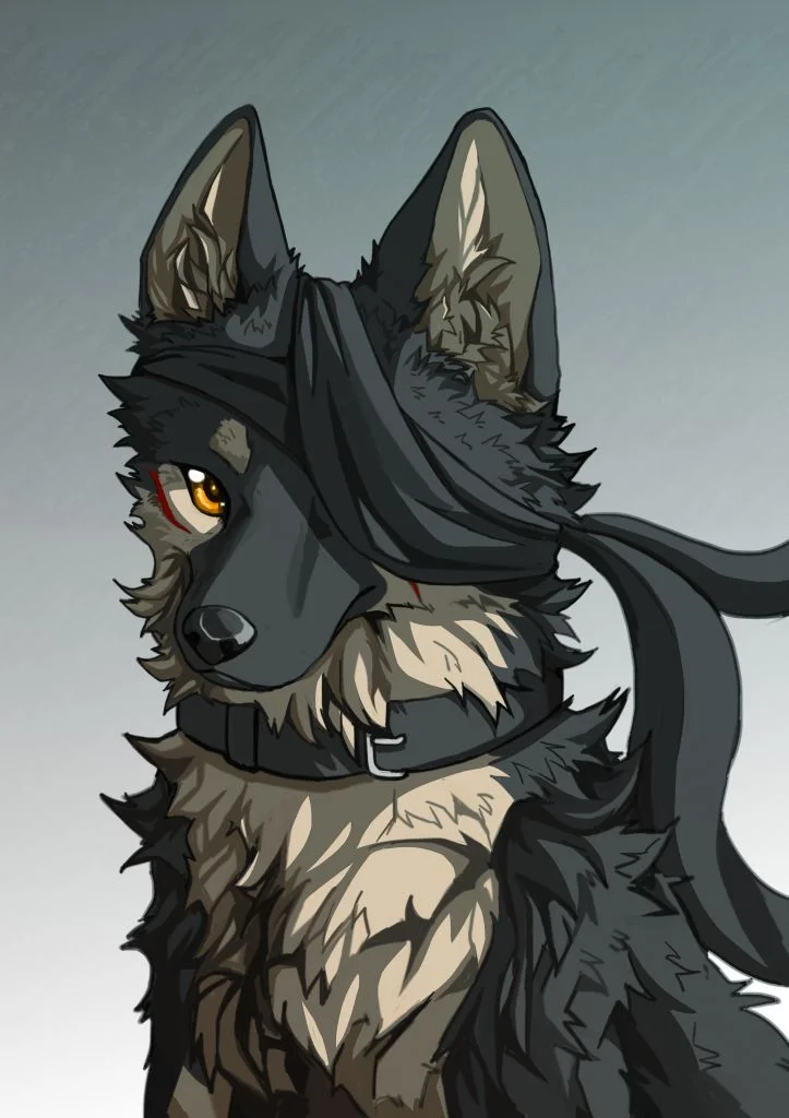 练习 by 小狼KillerWolf