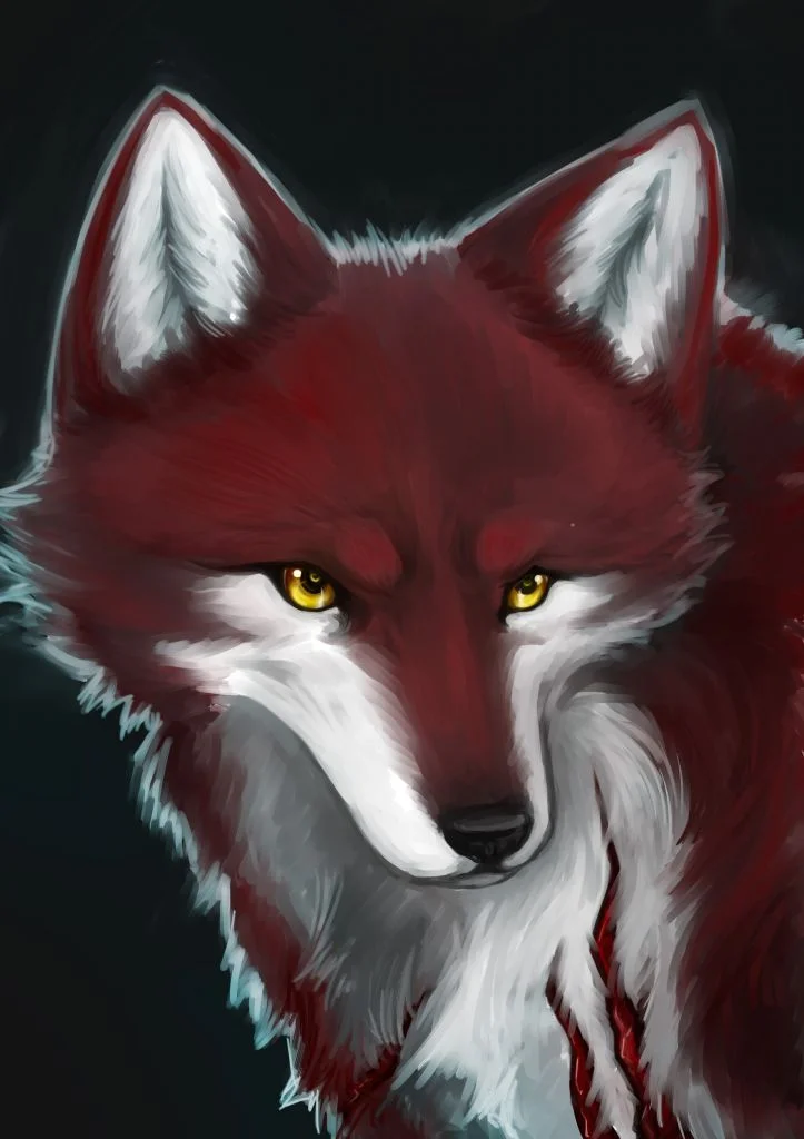狼头练习 by 小狼KillerWolf