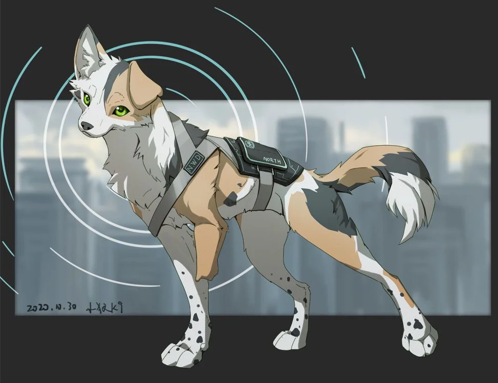 三花 by 小狼KillerWolf