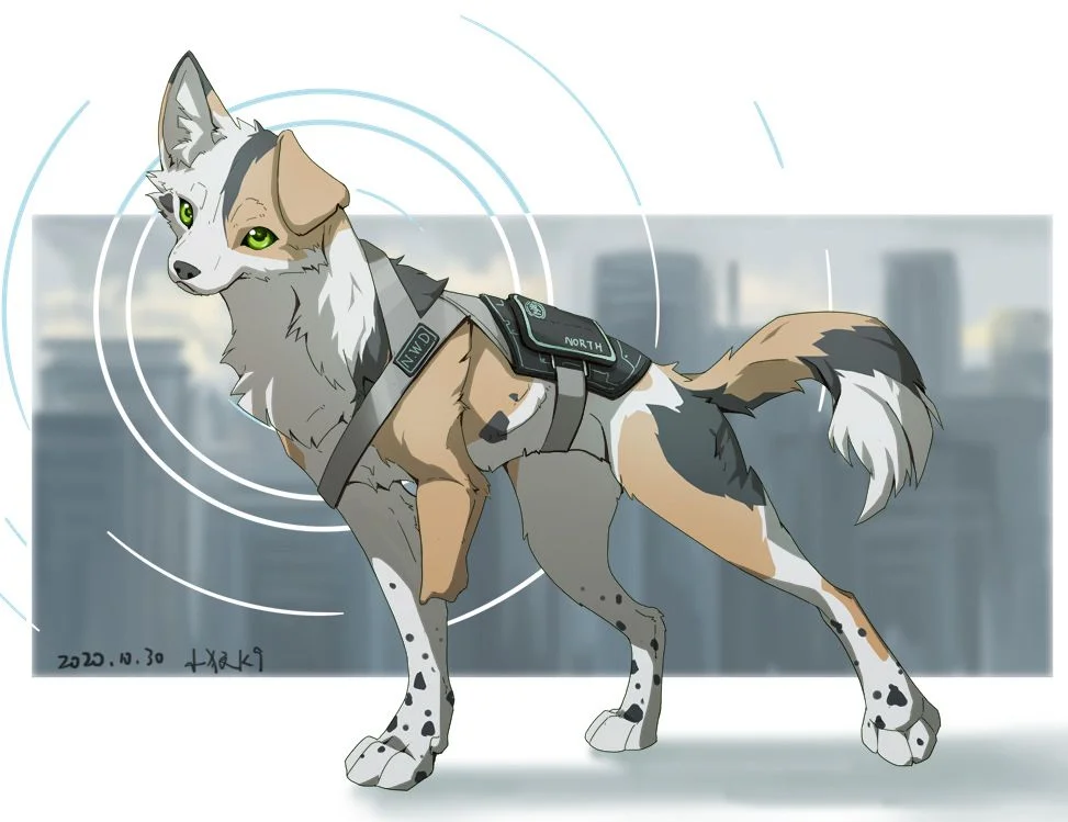 三花-白底 by 小狼KillerWolf