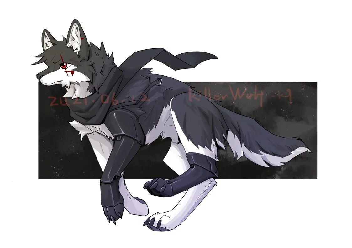 本体的影子形态 by 小狼KillerWolf
