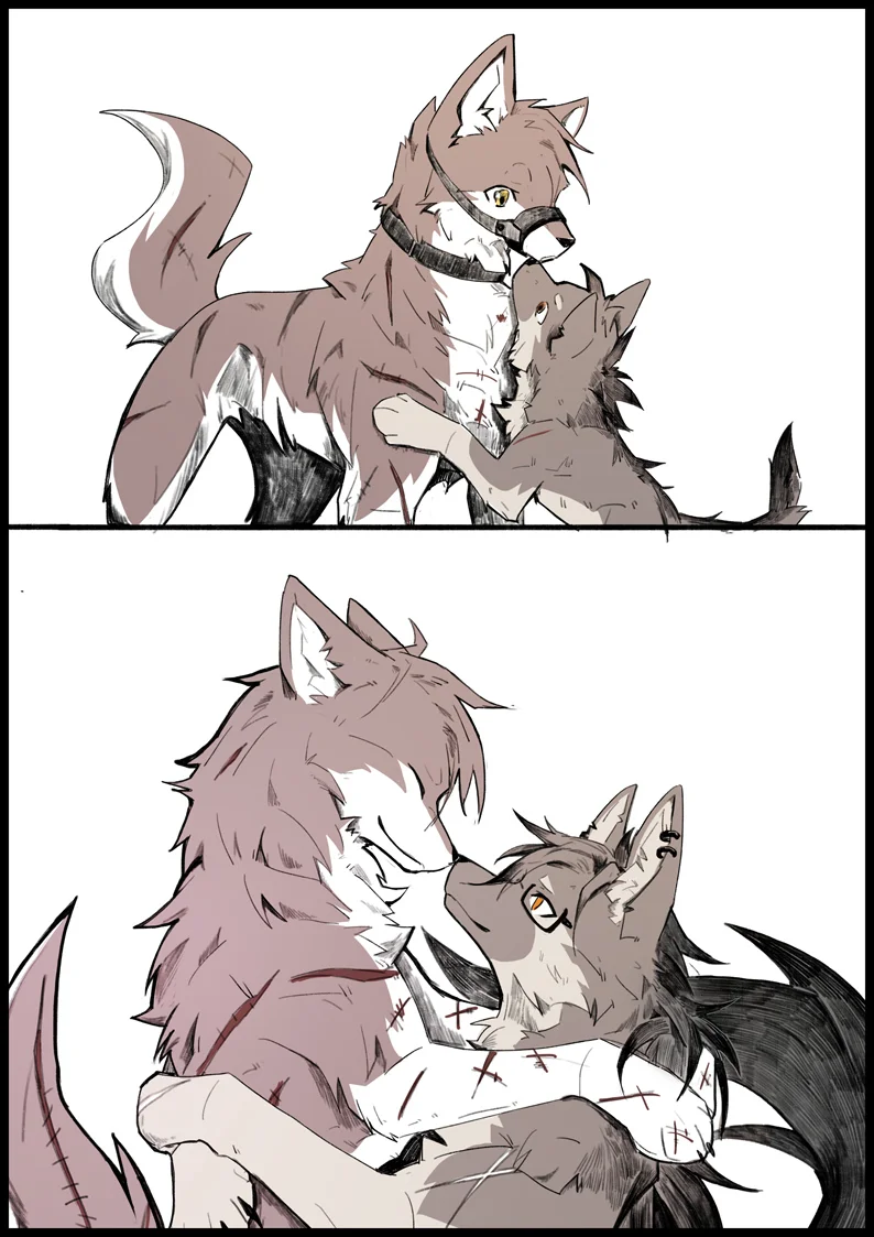 过去和后来 by 小狼KillerWolf