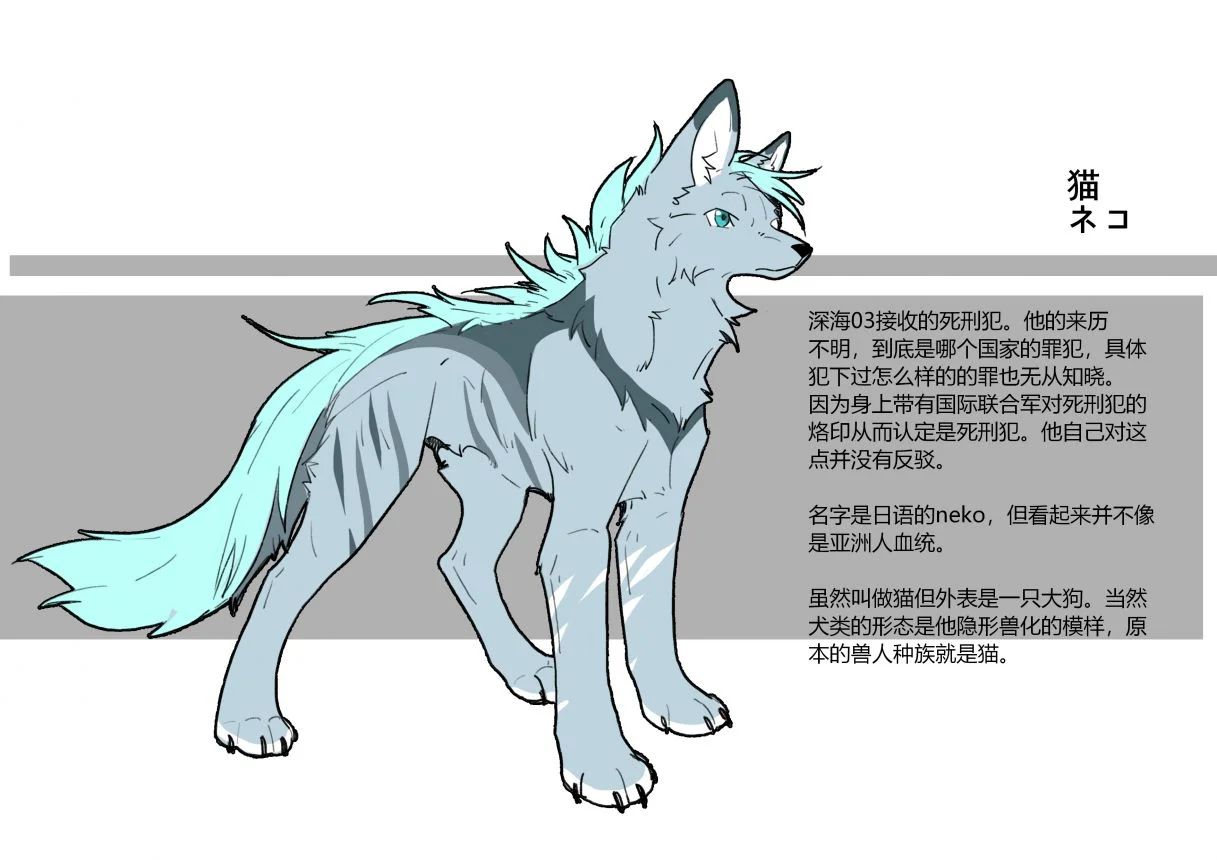 【oc设定】猫 by 小狼KillerWolf