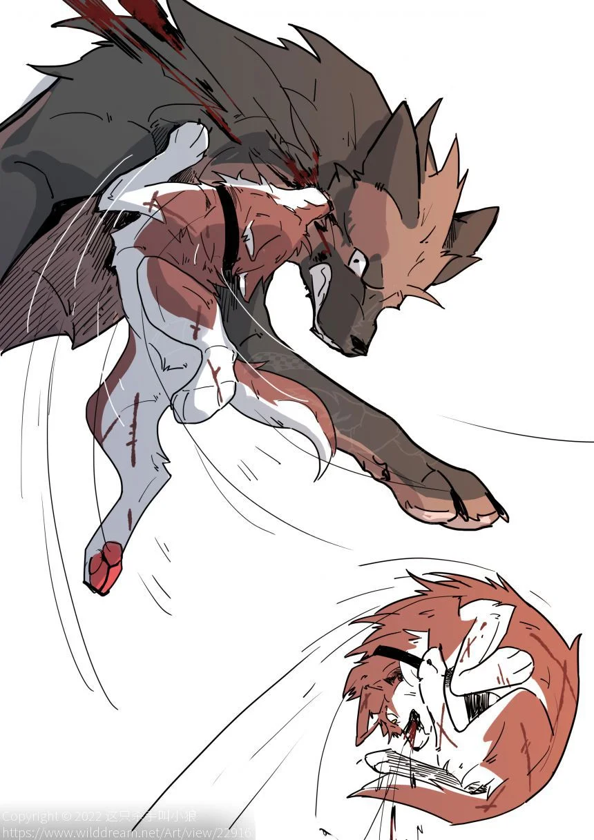 摸鱼 by 小狼KillerWolf