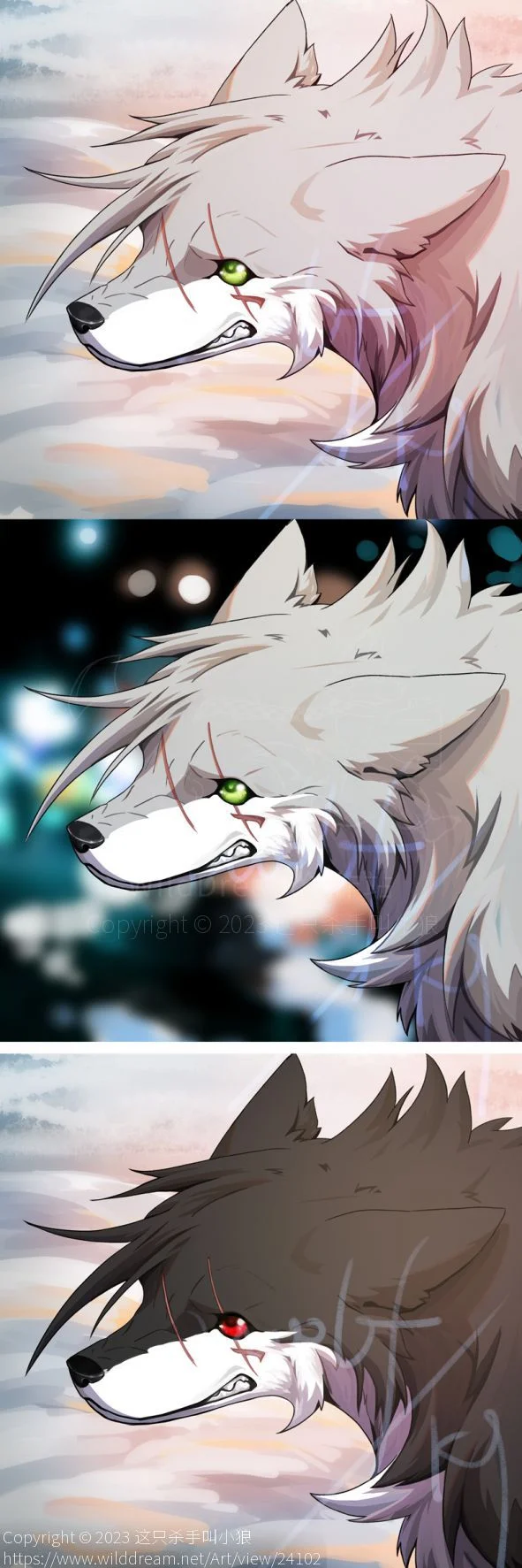 头像 by 小狼KillerWolf