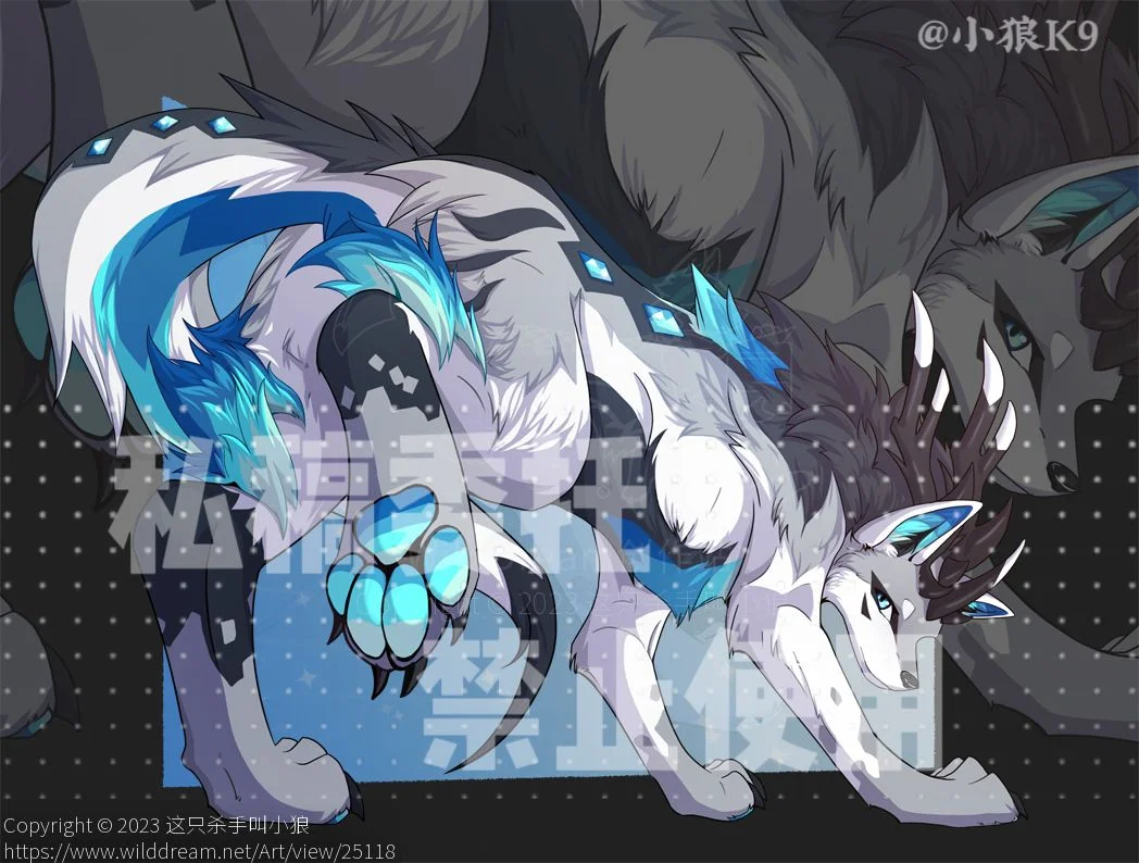 【稿件展示】 by 小狼KillerWolf