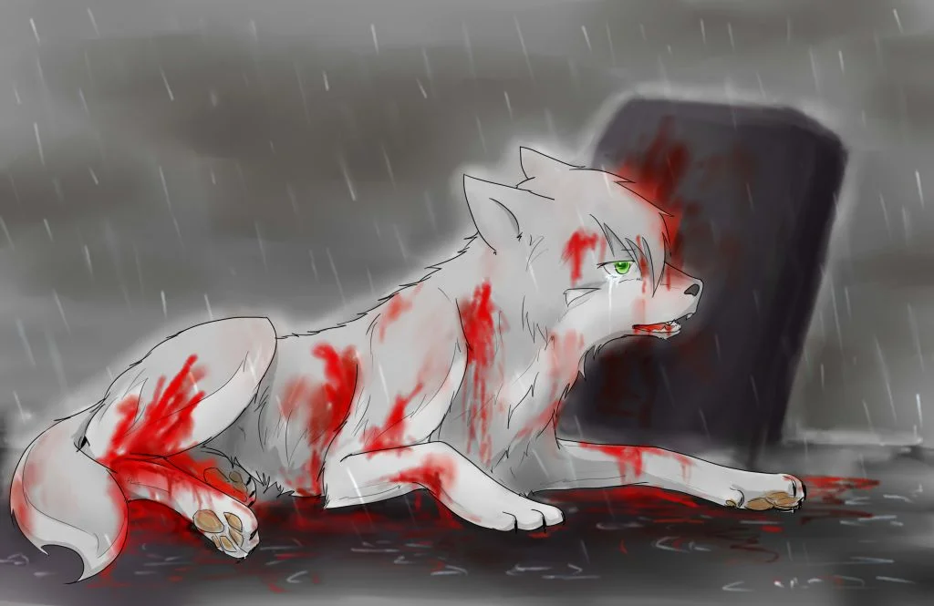 hjzXsnbbaa by 小狼KillerWolf