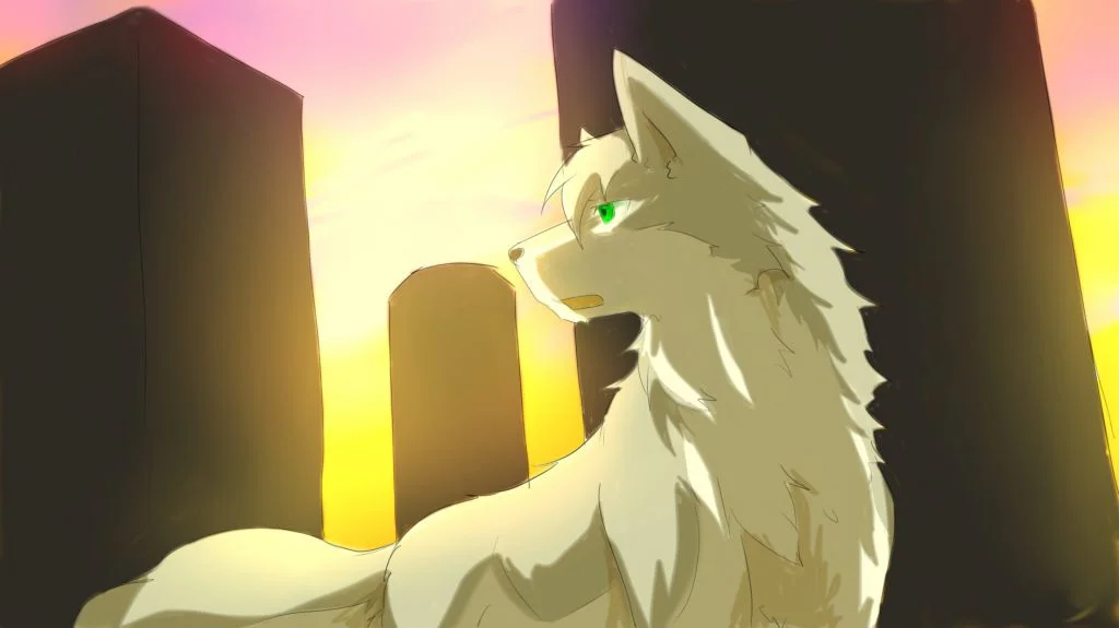 阳光 by 小狼KillerWolf