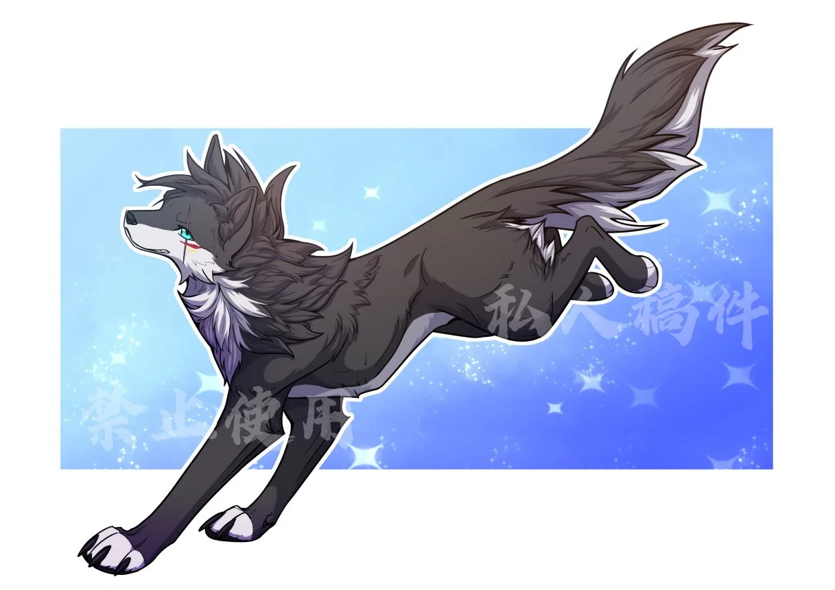 【稿件展示】灰黑色小狼 by 小狼KillerWolf