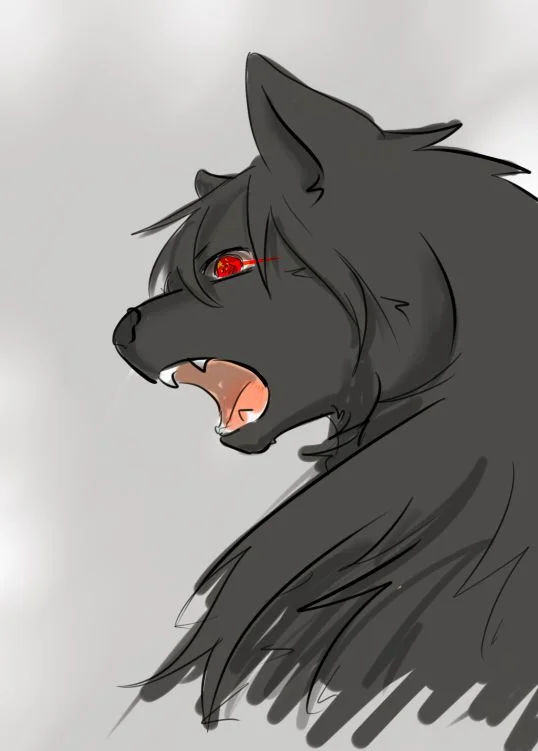 11 by 小狼KillerWolf