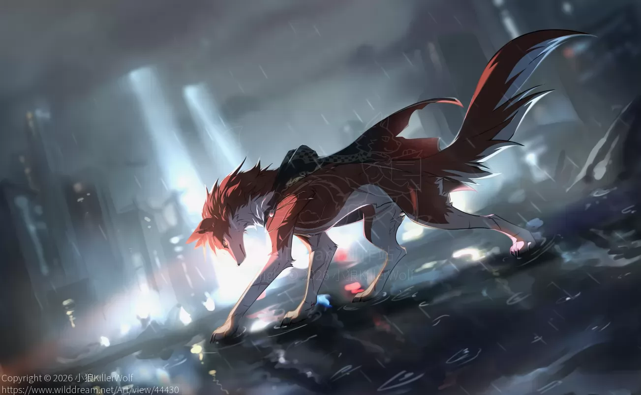 2026 4.1小红狼生贺 by 小狼KillerWolf