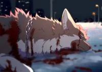 再见