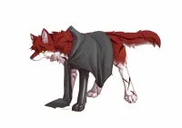 练习1