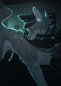 目前形态 by 小狼KillerWolf