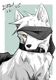 小练习 by 小狼KillerWolf