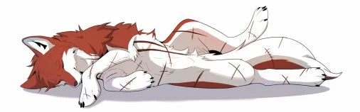 睡狼狼 by 小狼KillerWolf