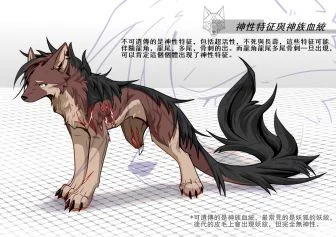 神性特征 by 小狼KillerWolf