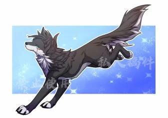【稿件展示】灰黑色小狼