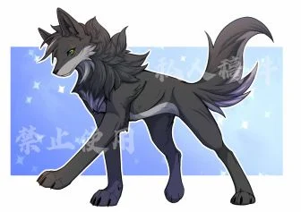 【稿件展示】又一只深灰小狼