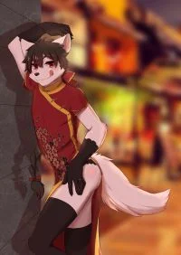 旗袍四白