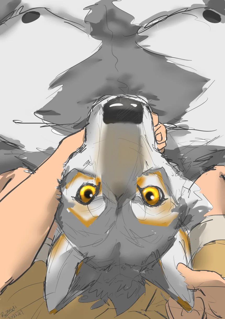 doodle by 龙星