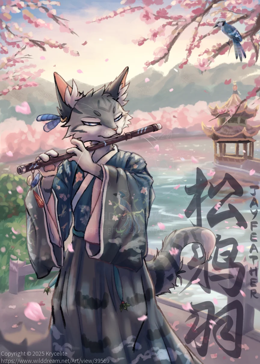 松鸦羽 by Krycelite, cat, jayfeather, warriorcats, warriors, 松鸦羽, 猫, 猫武士 