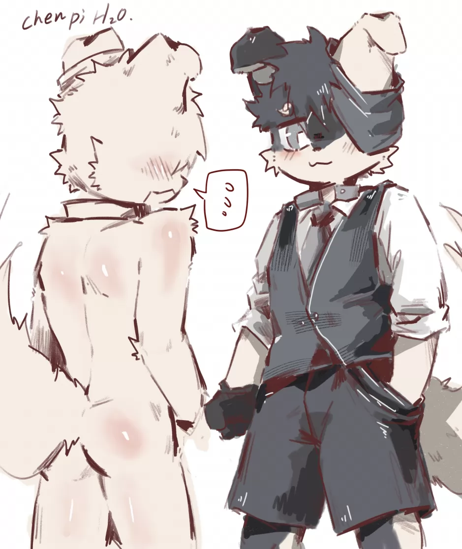 星落 by 氧化氢泡陈皮