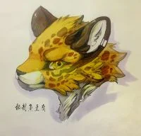 豹