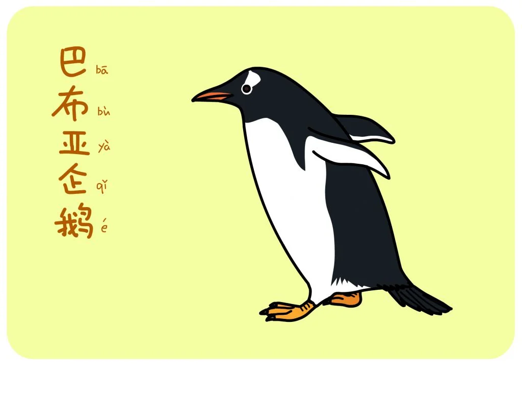巴布亚企鹅 by 犬神x徹夜, 企鹅