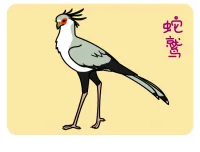 蛇鹫