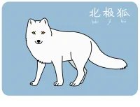 北极狐