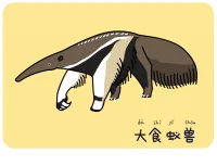 大食蚁兽
