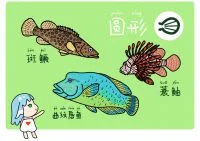 02 鱼尾3